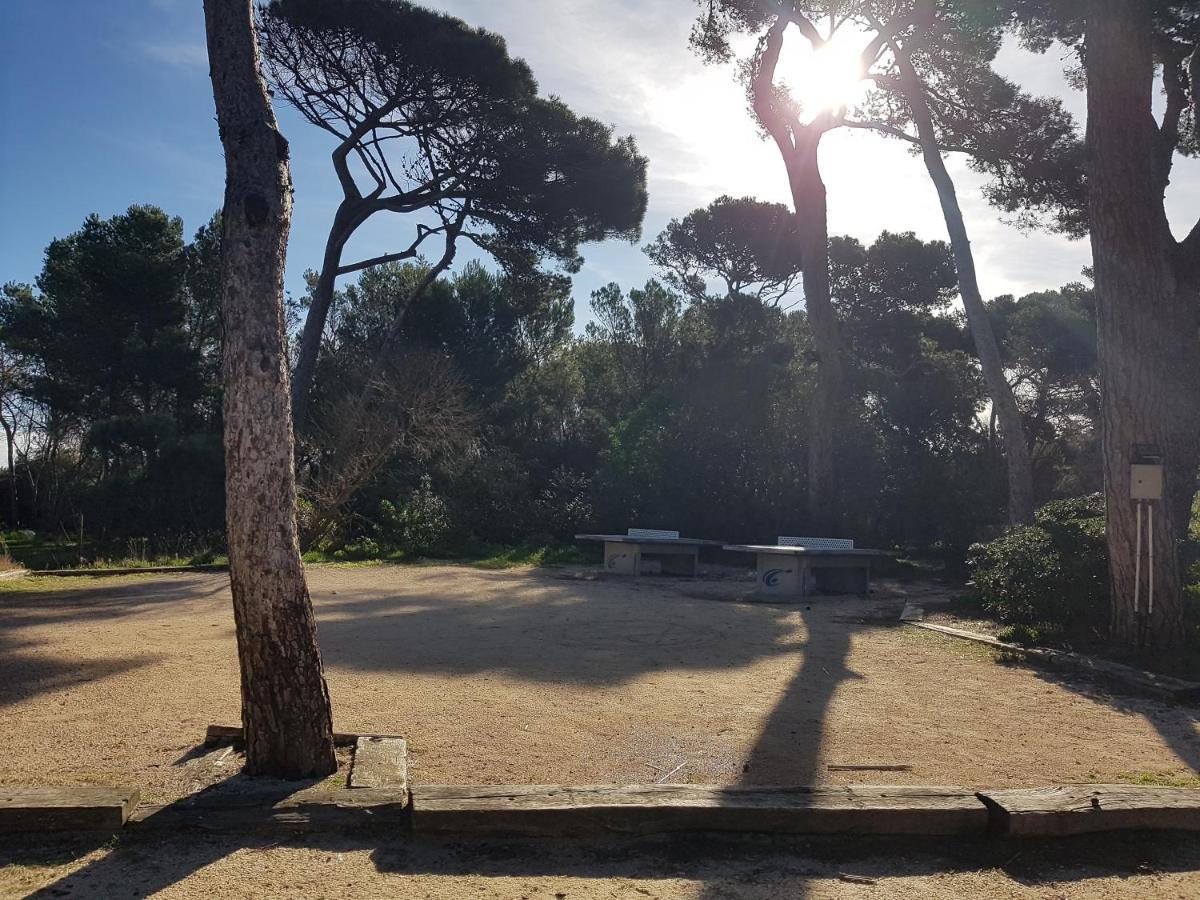 Le Studio De Giens Hyeres Exterior photo